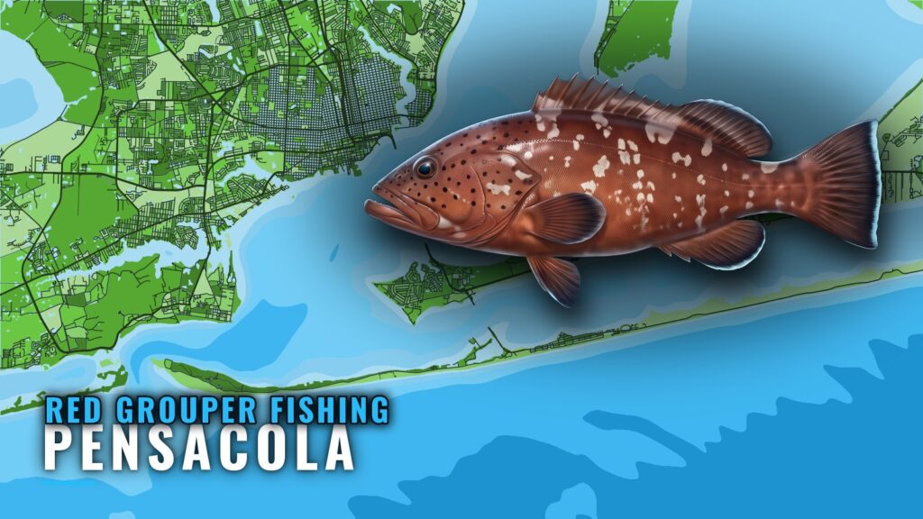 Red grouper fishing out of Pensacola: depths and reefs