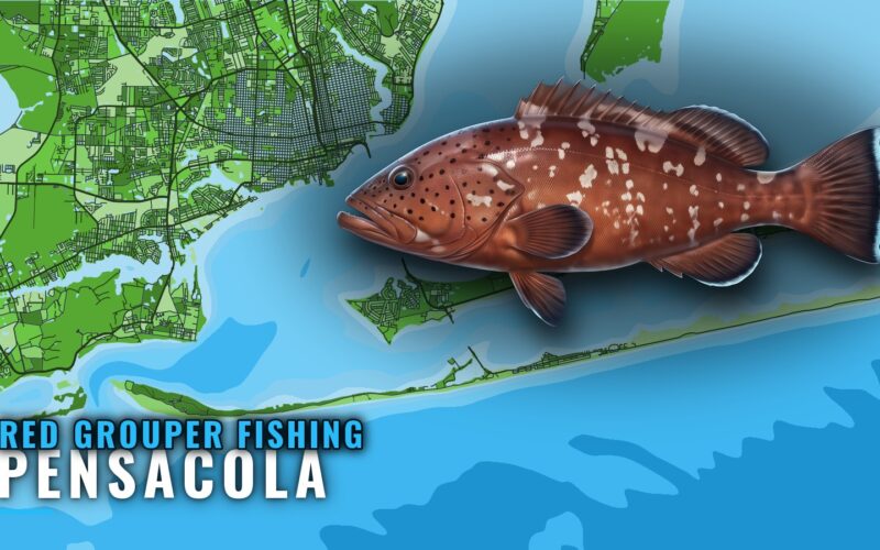 Red grouper fishing out of Pensacola: depths and reefs