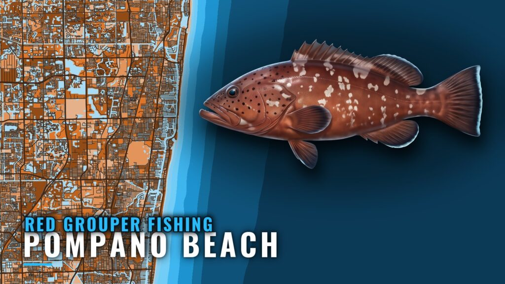 Red Grouper Fishing Out of Pompano Beach: Wrecks and Ledges