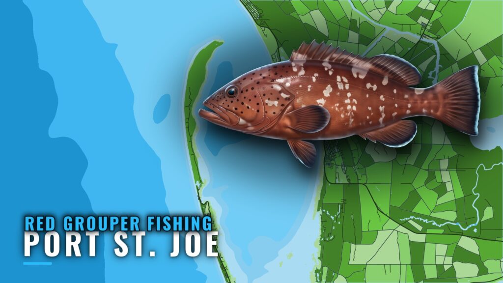 Red Grouper Fishing Out of Port St. Joe: Reefs and Wrecks
