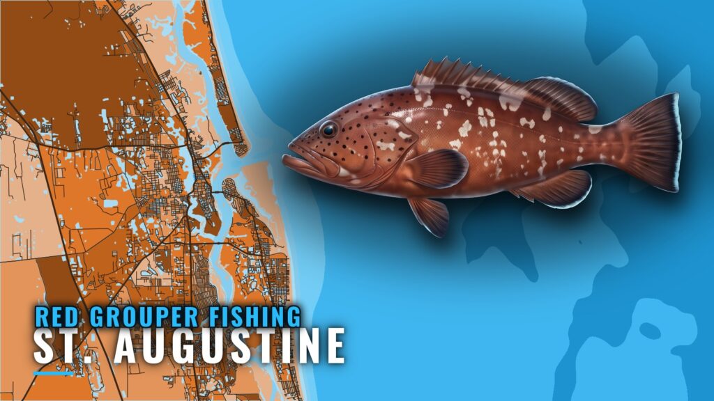 Red Grouper Fishing out of St. Augustine: Reefs and Depths