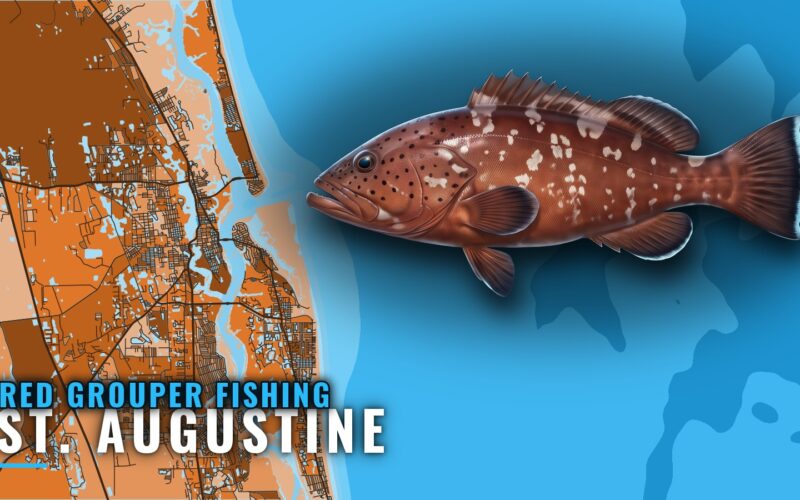 Red Grouper Fishing out of St. Augustine: Reefs and Depths