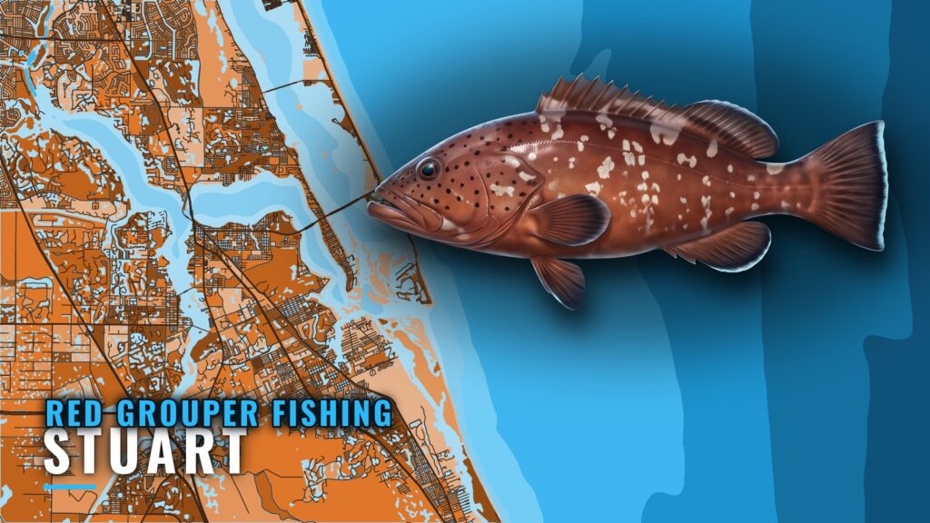 Red Grouper Fishing Out of Stuart: Depths, Grounds, Rigs