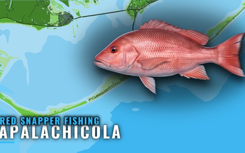 Red Snapper Fishing Out of Apalachicola: Runs and Reefs
