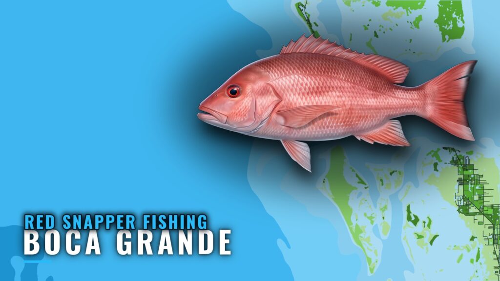 Red Snapper Fishing out of Boca Grande: Reefs and Runs