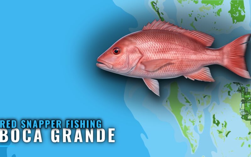 Red Snapper Fishing out of Boca Grande: Reefs and Runs