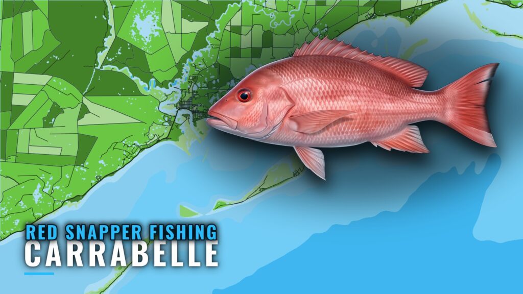 Red Snapper Fishing Out of Carrabelle: Grounds and Runs