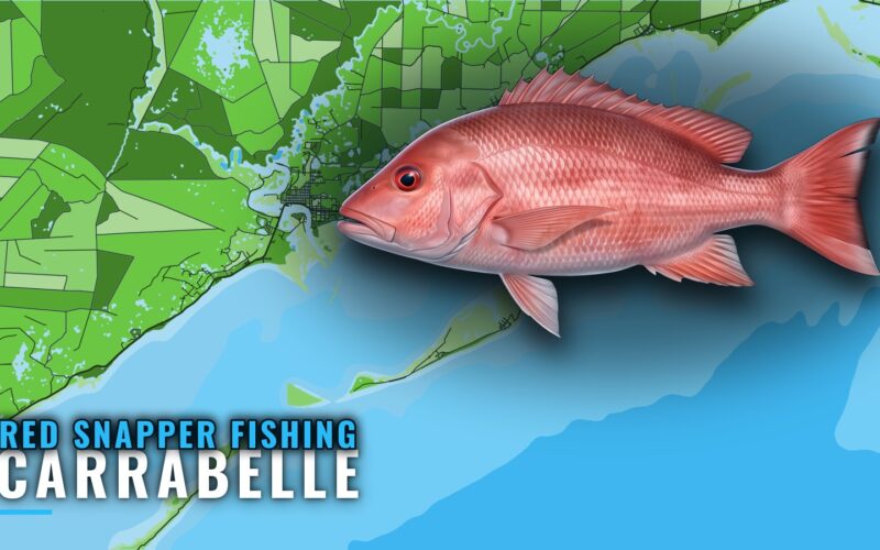 Red Snapper Fishing Out of Carrabelle: Grounds and Runs