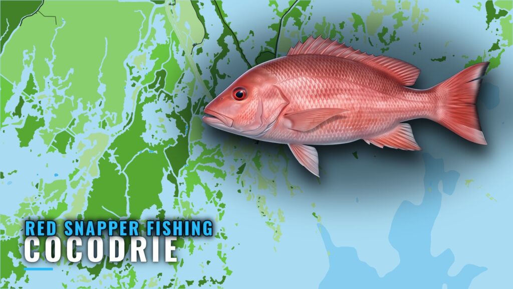 Red Snapper Fishing Out of Cocodrie: Grounds and Depths