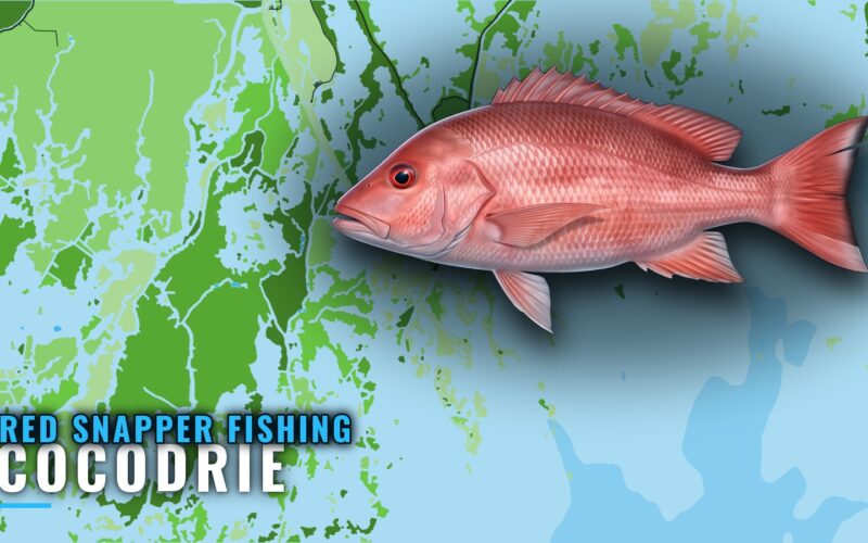 Red Snapper Fishing Out of Cocodrie: Grounds and Depths
