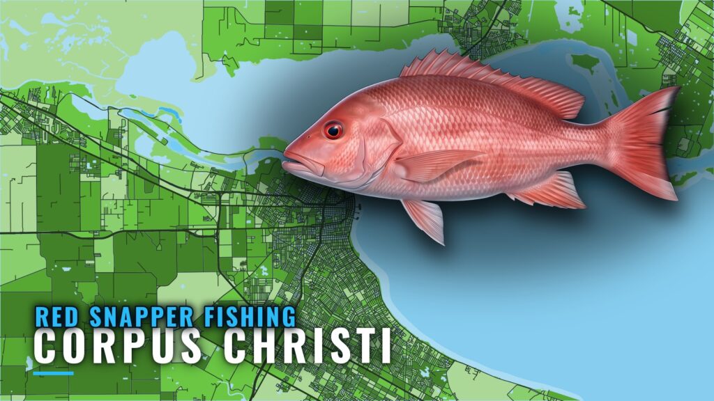 Red Snapper Fishing Out of Corpus Christi: Reefs and Runs