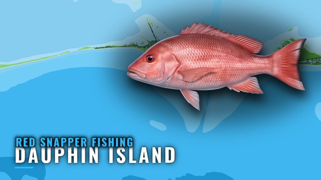 Red snapper fishing out of Dauphin Island: where boats run