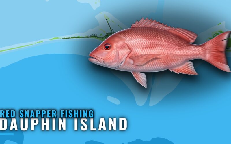Red snapper fishing out of Dauphin Island: where boats run