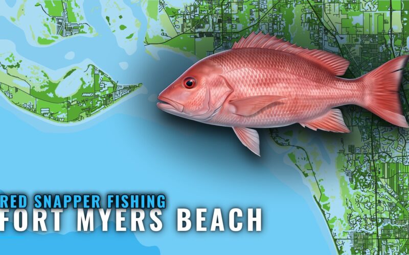 Red Snapper Fishing out of Fort Myers Beach: Reef Marks