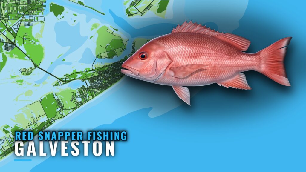 Red Snapper Fishing Out of Galveston: Runs, Reefs, Rigs