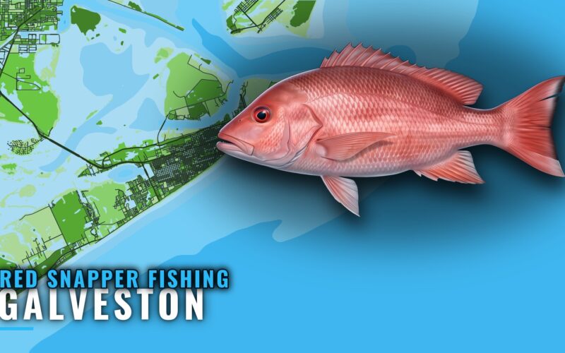 Red Snapper Fishing Out of Galveston: Runs, Reefs, Rigs