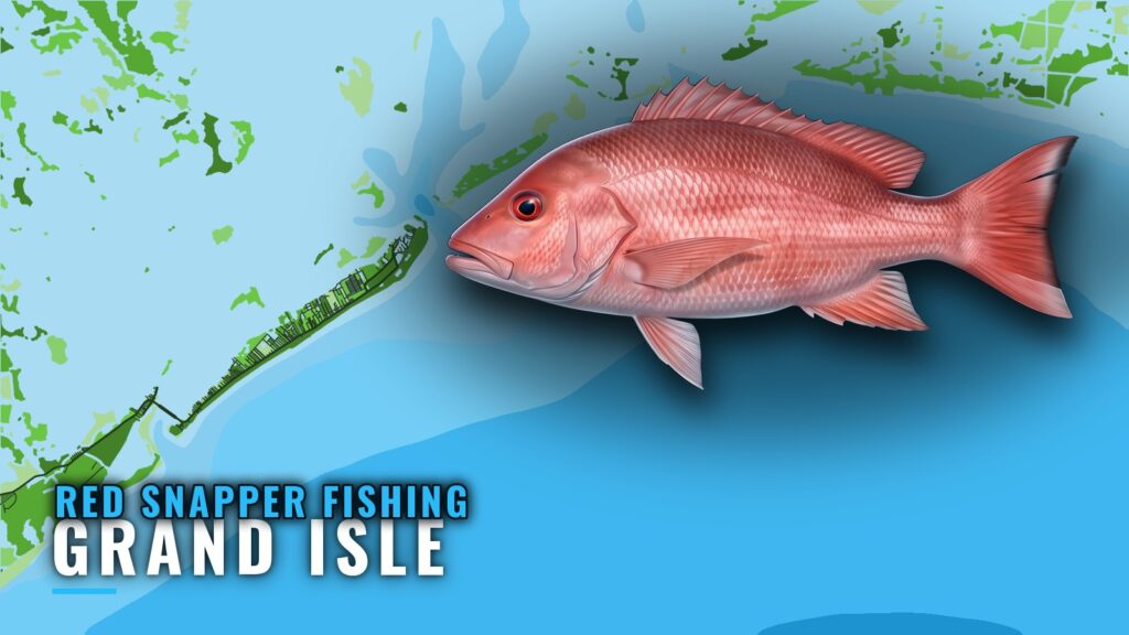Red Snapper Fishing Out of Grand Isle: Rigs, Reefs, Depths