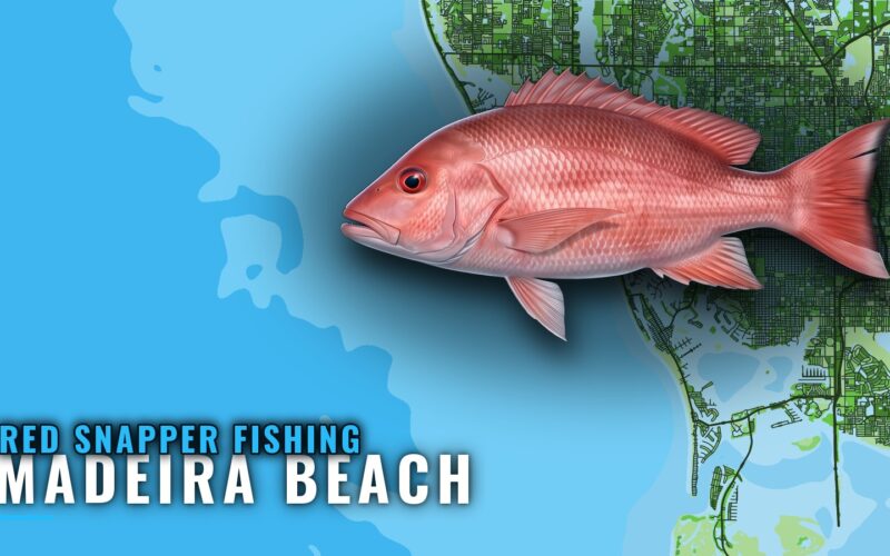 Red snapper fishing out of Madeira Beach: depths and grounds