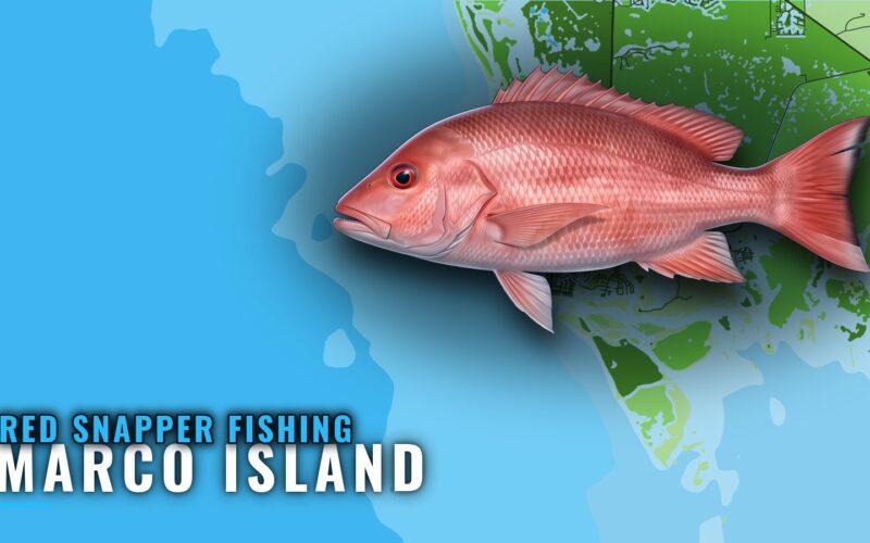 Red Snapper Fishing Out of Marco Island: Season and Depth