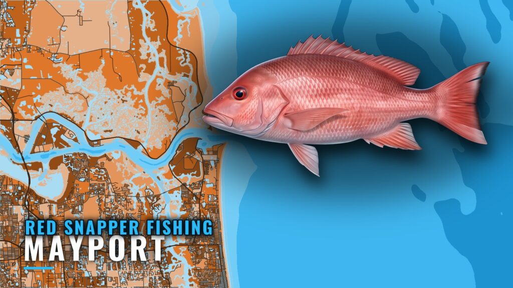Red Snapper Fishing Out of Mayport: Reefs, Depths, Wrecks