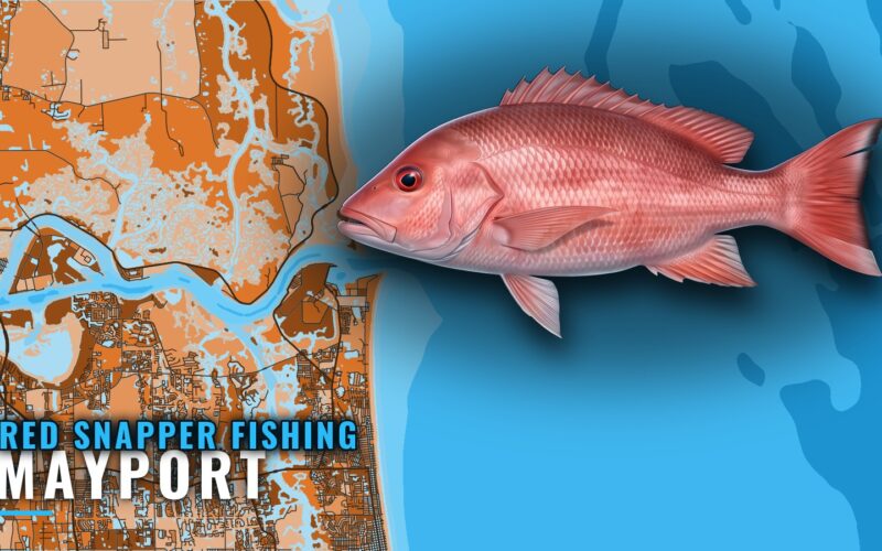 Red Snapper Fishing Out of Mayport: Reefs, Depths, Wrecks