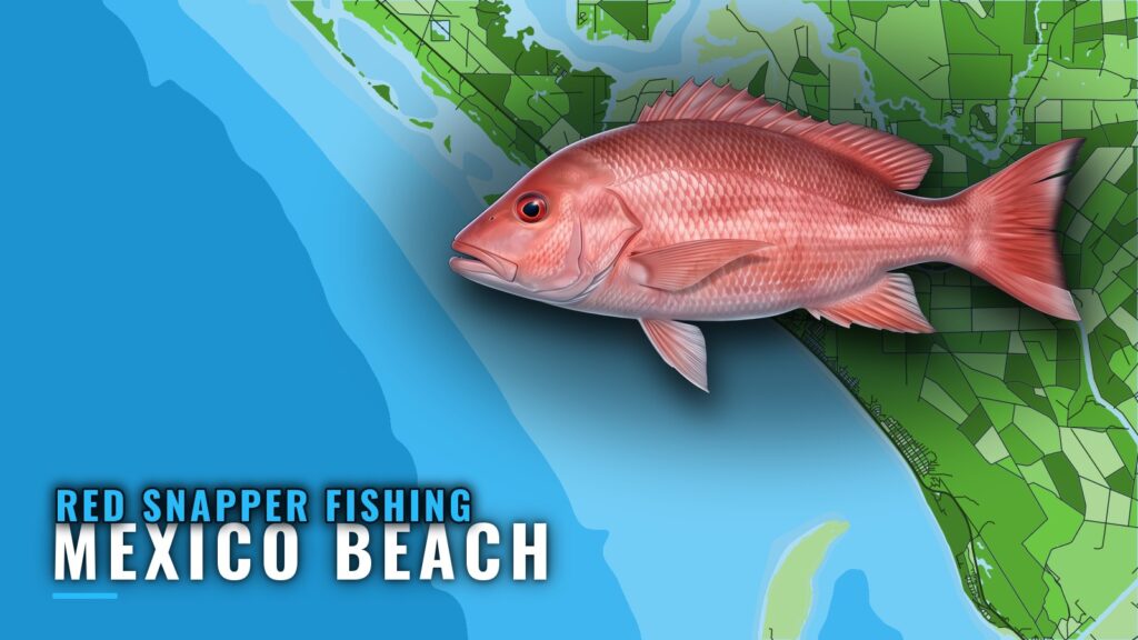 Red Snapper Fishing Out of Mexico Beach: Port Briefing