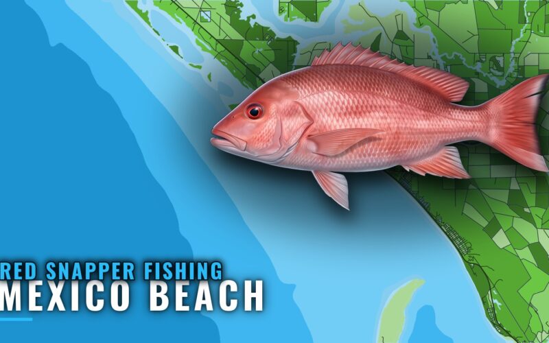 Red Snapper Fishing Out of Mexico Beach: Port Briefing