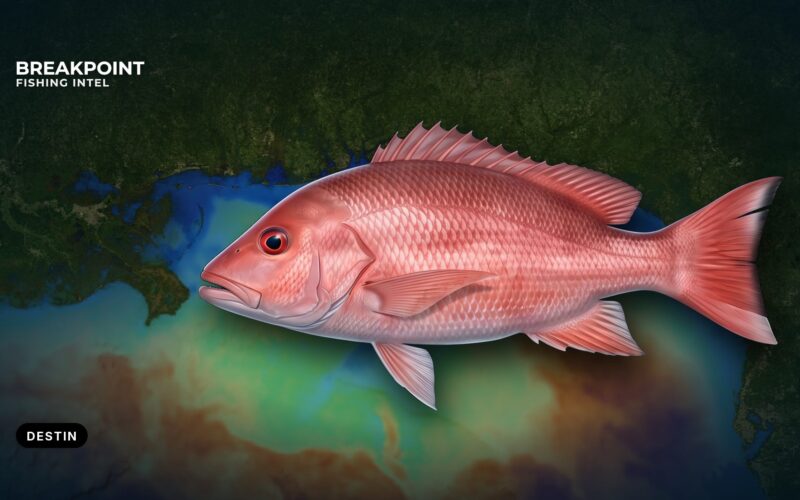 Red Snapper Fishing off Destin: Reefs, Rules and Tactics