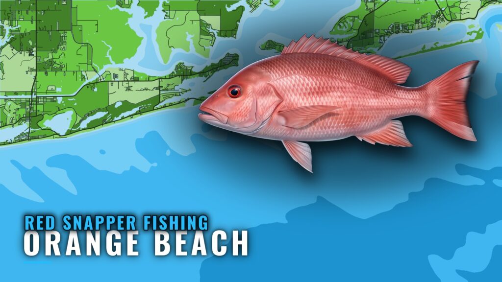 Red snapper fishing out of Orange Beach: runs and reefs