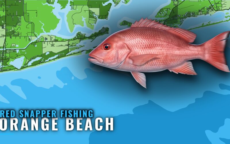 Red snapper fishing out of Orange Beach: runs and reefs