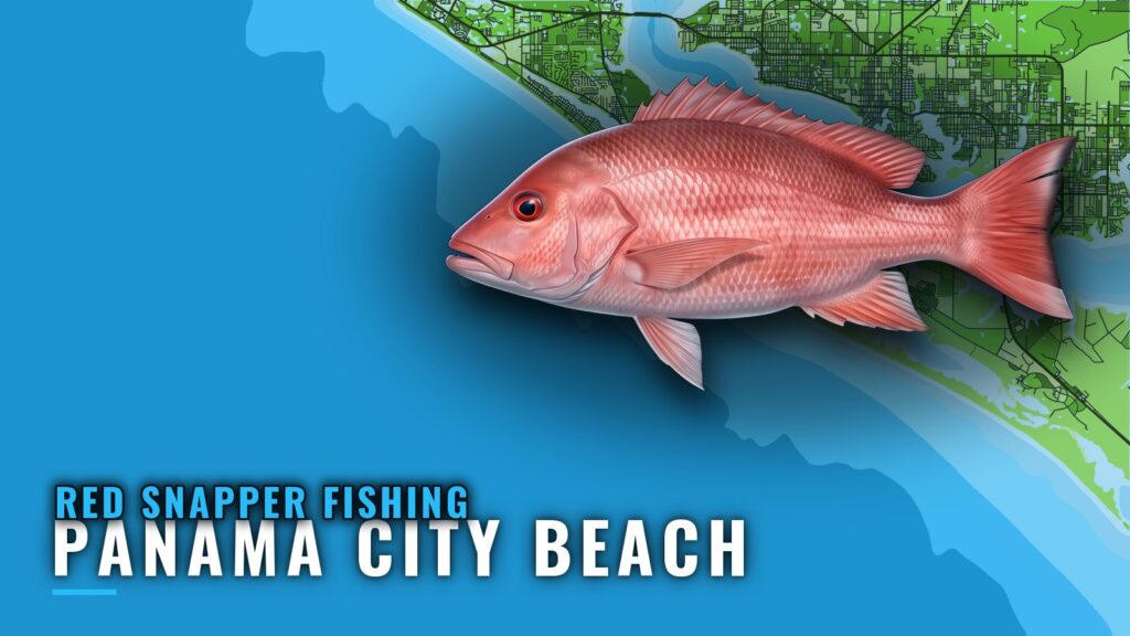 Red Snapper Fishing Out of Panama City Beach: Where to Run