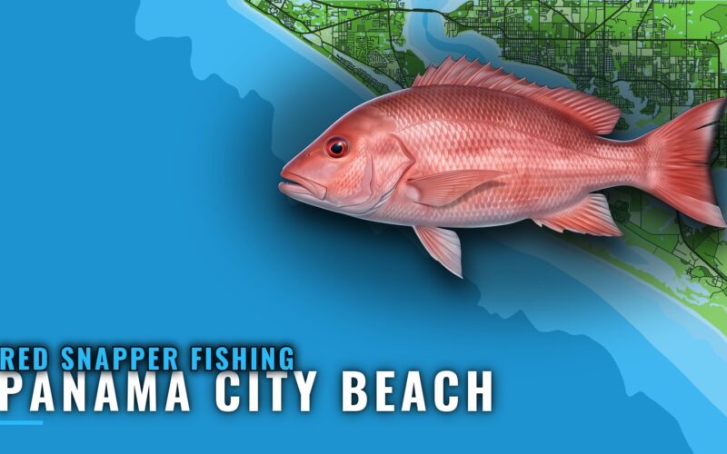Red Snapper Fishing Out of Panama City Beach: Where to Run