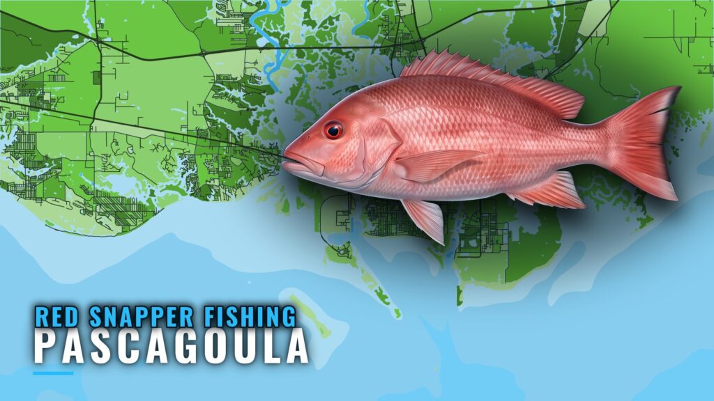 Red Snapper Fishing Out of Pascagoula: Grounds and Runs