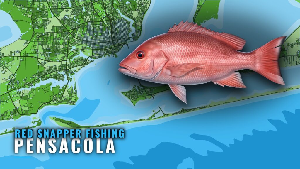 Red Snapper Fishing out of Pensacola: Depths and Reefs