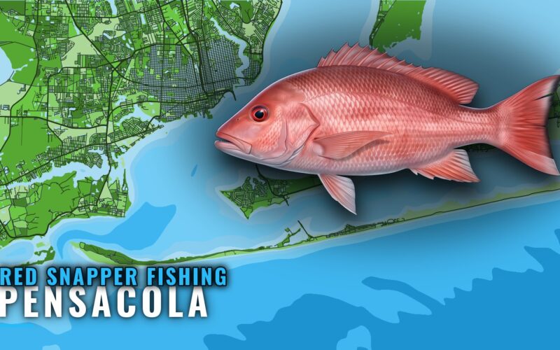 Red Snapper Fishing out of Pensacola: Depths and Reefs