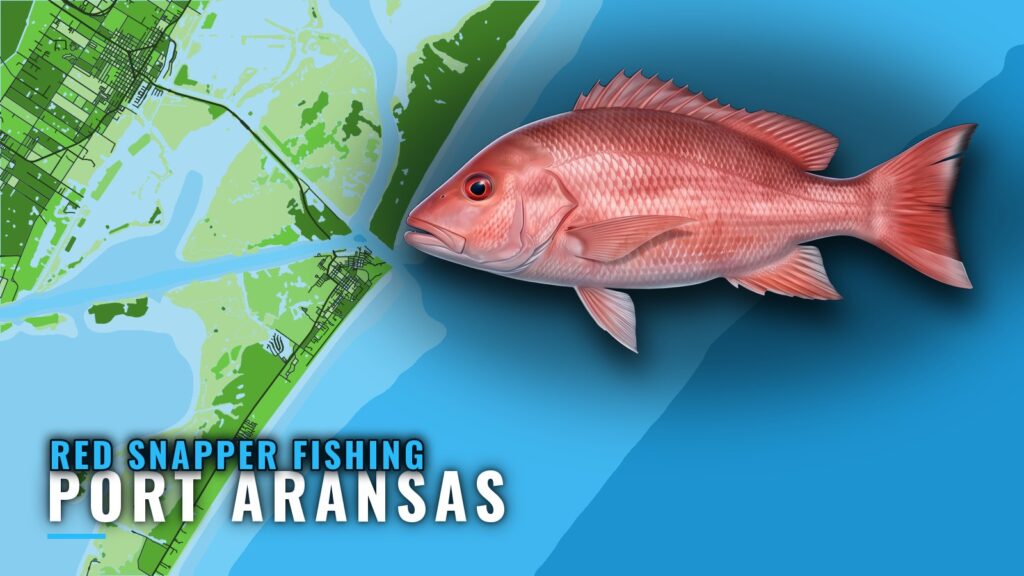 Red Snapper Fishing out of Port Aransas: Reefs and Runs