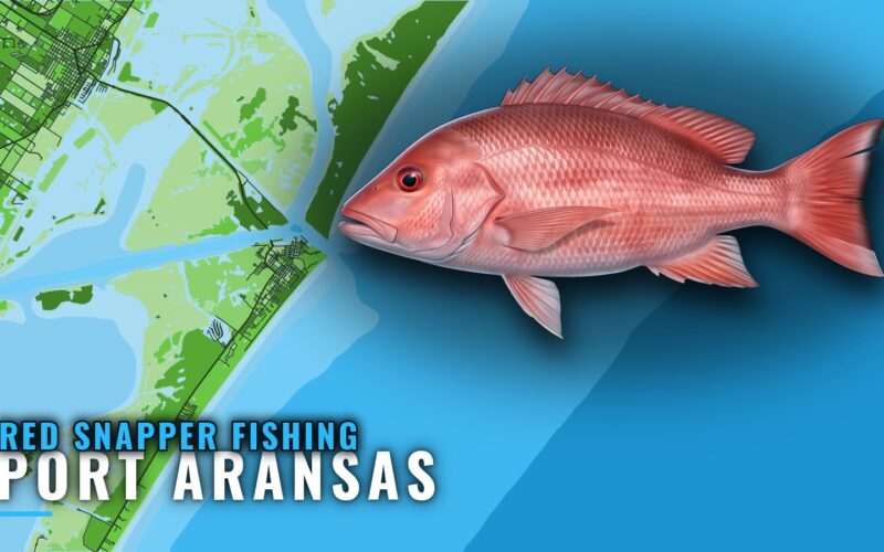 Red Snapper Fishing out of Port Aransas: Reefs and Runs