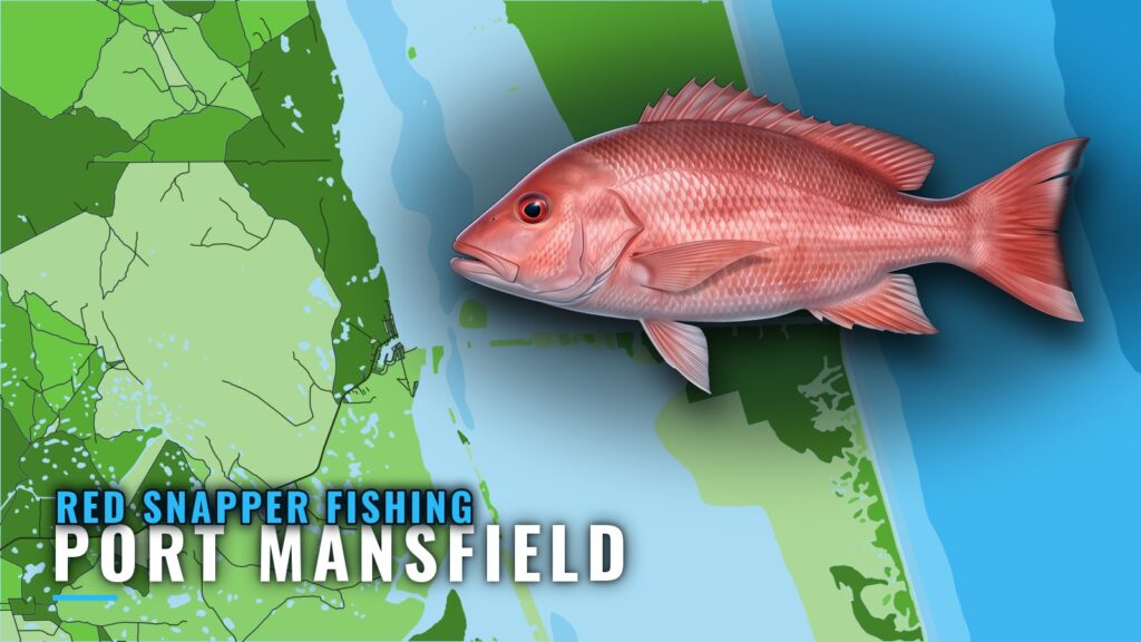Red Snapper Fishing out of Port Mansfield: Runs and Depths