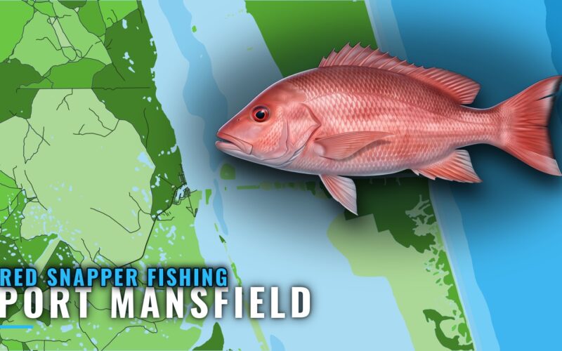 Red Snapper Fishing out of Port Mansfield: Runs and Depths