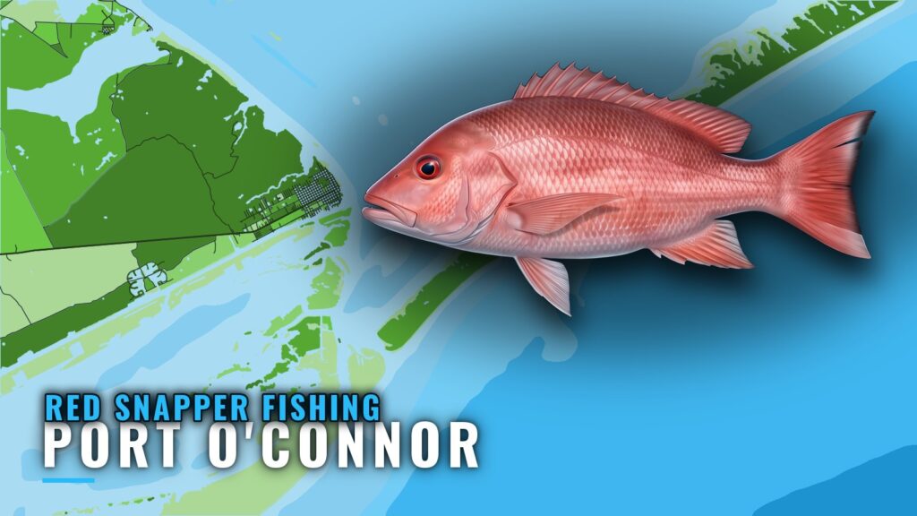 Red snapper fishing out of Port O’Connor: runs and reefs