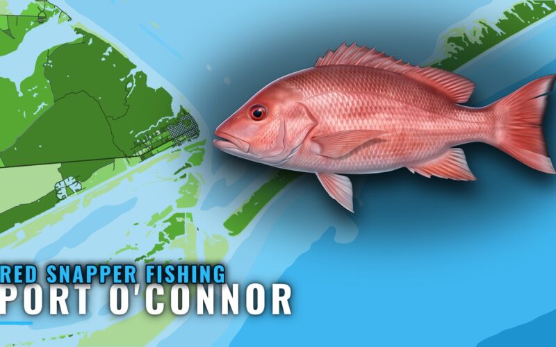 Red snapper fishing out of Port O’Connor: runs and reefs