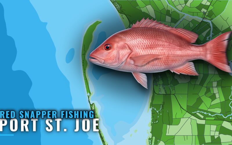 Red snapper fishing out of Port St. Joe: reefs and runs