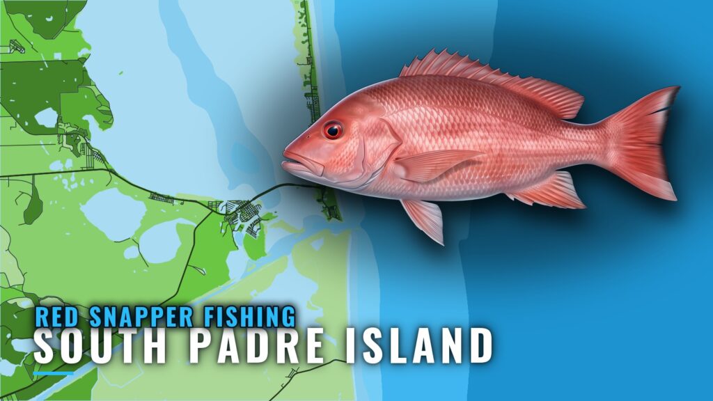 Red snapper fishing out of South Padre Island: where to run