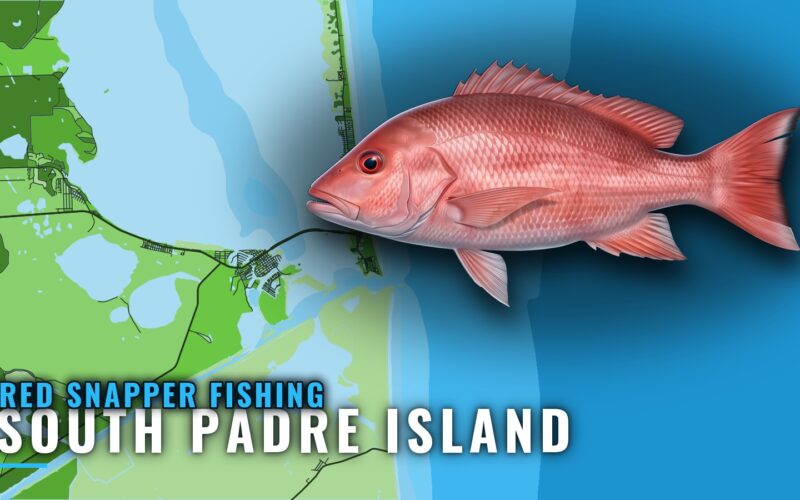 Red snapper fishing out of South Padre Island: where to run