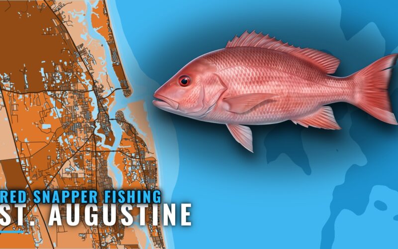 Red snapper fishing out of St. Augustine: reefs and depths