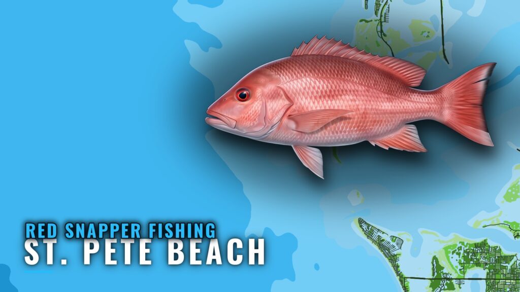 Red Snapper Fishing Out of St. Pete Beach: Where Boats Run