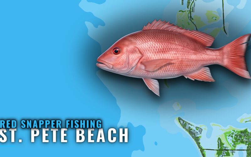 Red Snapper Fishing Out of St. Pete Beach: Where Boats Run