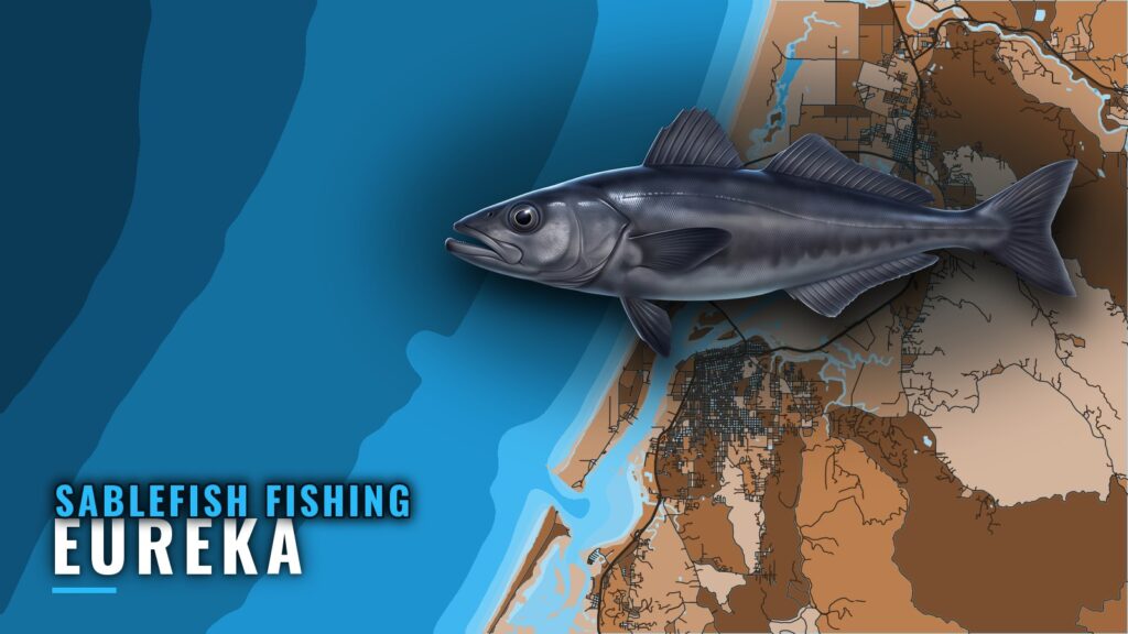 Sablefish Fishing out of Eureka: Grounds, Gear and Buoy