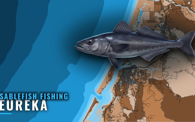Sablefish Fishing out of Eureka: Grounds, Gear and Buoy