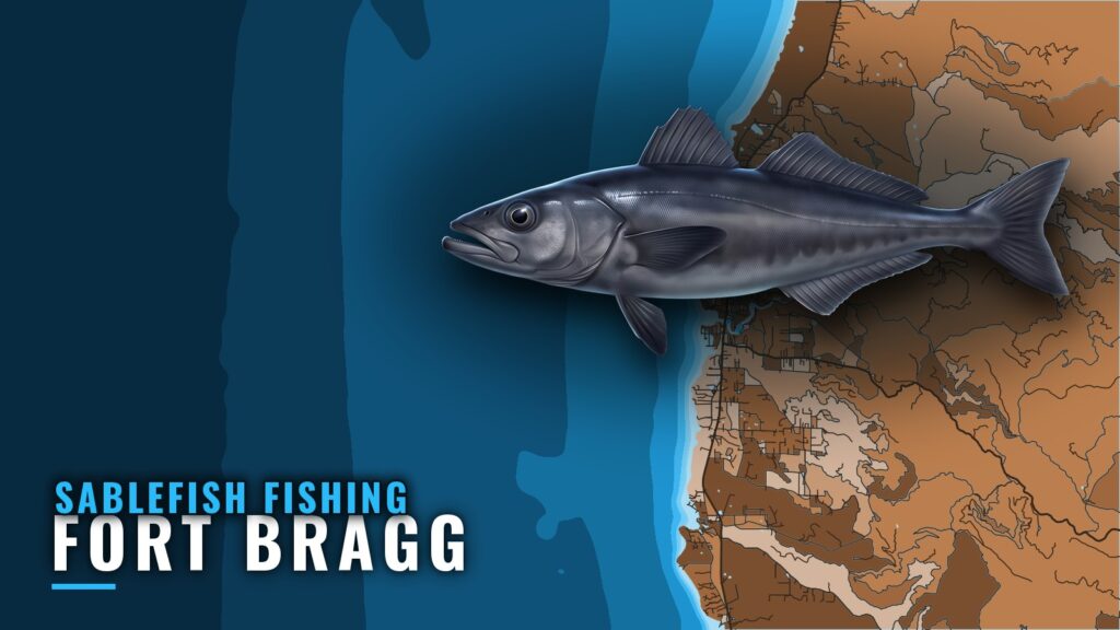 Sablefish Fishing out of Fort Bragg: Noyo Grounds